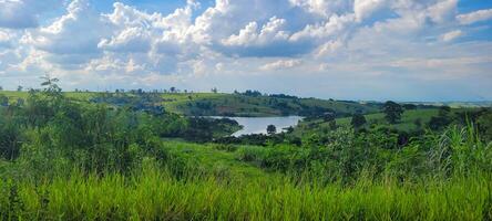 tropical natural lake with vegetation and white egret photo