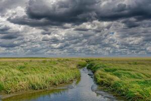 Salt Marsh in Sankt Peter-Ording on Eiderstedt Peninsula,North Sea,North Frisia,Germany photo