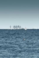 A lot of sail boats and yachts in the sea went on a sailing trip near port Hercules in Monaco, Monte Carlo, sail regatta, race photo