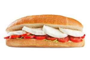 Sandwich with mozzarella photo