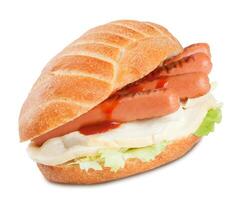 Sandwich with sausage ketchup salad and mozzarella cheese photo