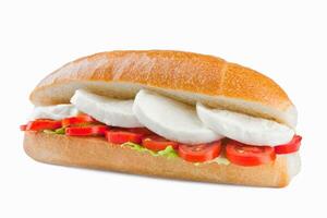 Sandwich with mozzarella photo