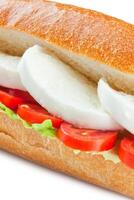 Sandwich with mozzarella photo