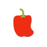 Fresh delicious red bell pepper. Flat color illustration isolated on white background. vector