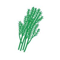 Heap of fresh green dill. Flat illustration isolated on white. vector