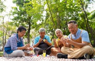 un grupo de asiático mayor personas disfrutar pintura cactus ollas y recreativo actividad o terapia al aire libre juntos a un mayor cuidado de la salud centro, estilo de vida conceptos acerca de antigüedad foto