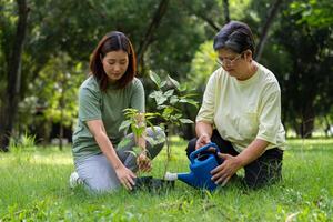 Old Asian Women and daughter join as volunteers for reforestation, earth conservation activities for reduce global warming growth feature and take care nature earth. Environment Concept photo