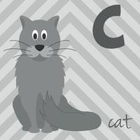 Cute cartoon zoo illustrated alphabet with funny animals. C for Cat. English alphabet. Learn to read. Isolated illustration. vector