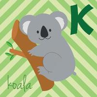 Cute cartoon zoo illustrated alphabet with funny animals. K for Koala. English alphabet. Learn to read. Isolated illustration. vector