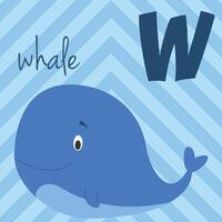 linda dibujos animados zoo ilustrado alfabeto con gracioso animales w para ballena. Inglés alfabeto. aprender a leer. aislado ilustración. vector