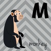 Cute cartoon zoo illustrated alphabet with funny animals. M for Monkey. English alphabet. Learn to read. Isolated illustration. vector