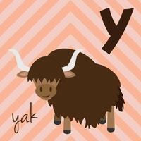 Cute cartoon zoo illustrated alphabet with funny animals. Y for Yak. English alphabet. Learn to read. Isolated illustration. vector