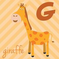 Cute cartoon zoo illustrated alphabet with funny animals. G for Giraffe. English alphabet. Learn to read. Isolated illustration. vector