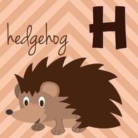 Cute cartoon zoo illustrated alphabet with funny animals. H for Hedgehog. English alphabet. Learn to read. Isolated illustration. vector