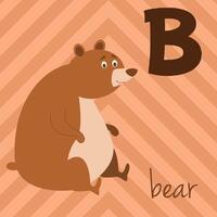 Cute cartoon zoo illustrated alphabet with funny animals. B for Bear. English alphabet. Learn to read. Isolated illustration. vector