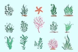 various types of seaweed illustrations for underwater element decoration vector