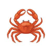 illustration. Crab isolated on white background vector