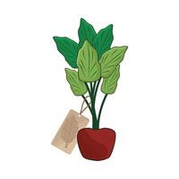 illustration of houseplant with price tag vector