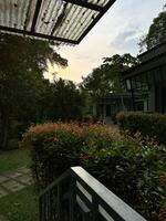 A serene garden at sunset, viewed from a sheltered porch with a glass roof and lush greenery photo