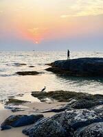 A lone fisherman stands on the rocks at sunset, with calm seas and a heron nearby capturing the essence of tranquil coastal life photo