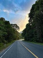 un tranquilo autopista Guías hacia un maravilloso atardecer, flanqueado por lozano verdor y radiante cielo a oscuridad. foto