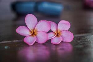 close up view of frangipani flower isolated on wooden table with empty space for photocopying. photo