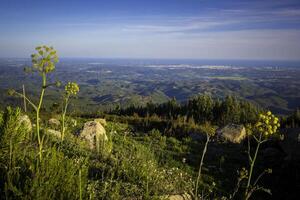 High angle landscape view over the Algarve in Portugal photo