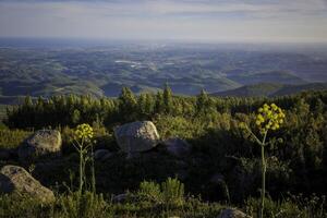 High angle landscape view over the Algarve in Portugal photo