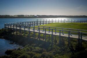 View on wooden elevated hiking path in Rio Formosa photo