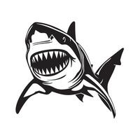 Big toothy shark illustration on a white background vector