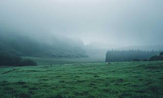 Gloomy Landscape with mist photo