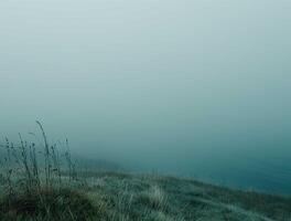 Gloomy Landscape with mist photo