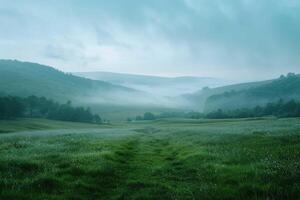 Gloomy Landscape with mist photo