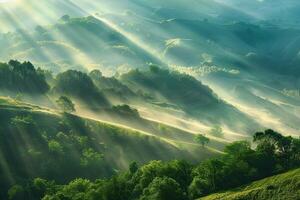 Sunlit landscape background photo