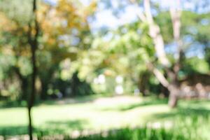 Defocused or blur with bokeh background of garden trees in sunny day photo