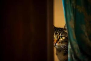 Curious cat peeking around a corner. Neural network photo