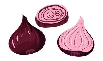 Red onion is whole and the slice is cut, emphasizing its rich color and multi-layered texture. It can be used in recipe cards, on cooking websites, or in cooking guides. Purple colors in layers vector