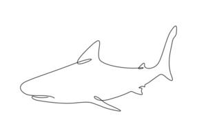 Shark fish in one continuous line drawing digital illustration vector