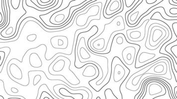 Topographic wave background. Abstract topography black line on white background. vector