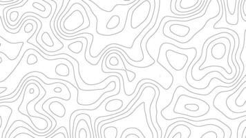 Topographic wave background. Abstract topography background. vector