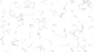 mármol granito blanco panorama antecedentes. resumen ligero elegante negro hacer piso, cerámico textura Roca losa. mármol textura antecedentes con alto resolución. vector