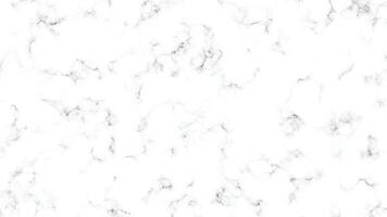 blanco mármol textura antecedentes. negro y blanco mármol texturizado blanco antecedentes mármol pared textura. panorámico blanco antecedentes. blanco carrara mármol Roca textura. vector