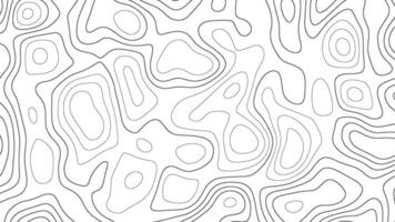 abstract pattern with lines. background of the topographic map. elevation contouring outline cartography texture. geographic abstract grid. futuristic wireframe landscape background. vector