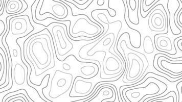 abstract pattern with lines. background of the topographic map. elevation contouring outline cartography texture. geographic abstract grid. futuristic wireframe landscape background. vector