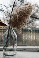 Glass vase with a bouquet of dry flowers and reeds stands next to the autumn window photo