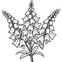 Foxglove Flower Bouquet outline illustration coloring book page design, Foxglove Flower Bouquet black and white line art drawing coloring book pages for children and adults vector