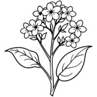 Forget Me Not flower plant outline illustration coloring book page design, Forget Me Not flower plant black and white line art drawing coloring book pages for children and adults vector