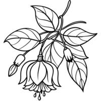 Fuchsia flower plant outline illustration coloring book page design, Fuchsia flower plant black and white line art drawing coloring book pages for children and adults vector