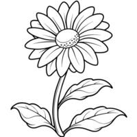 Daisy flower plant outline illustration coloring book page design, Daisy flower plant black and white line art drawing coloring book pages for children and adults vector