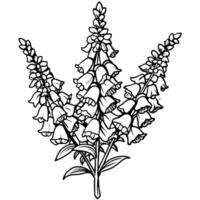 Foxglove Flower Bouquet outline illustration coloring book page design, Foxglove Flower Bouquet black and white line art drawing coloring book pages for children and adults vector